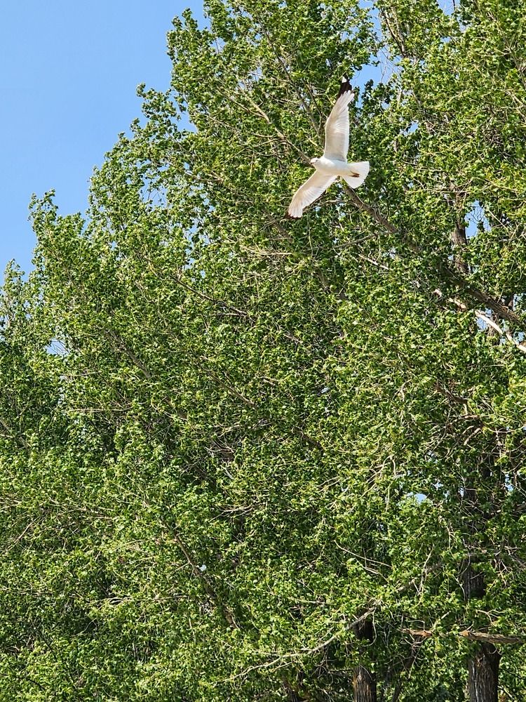 Фотография автора Al