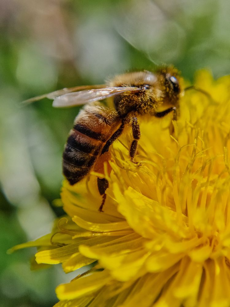 Photograph by Лариса Когтева