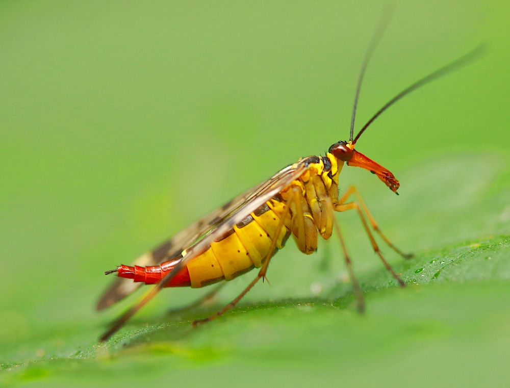 Photograph by Гагик Саркисян