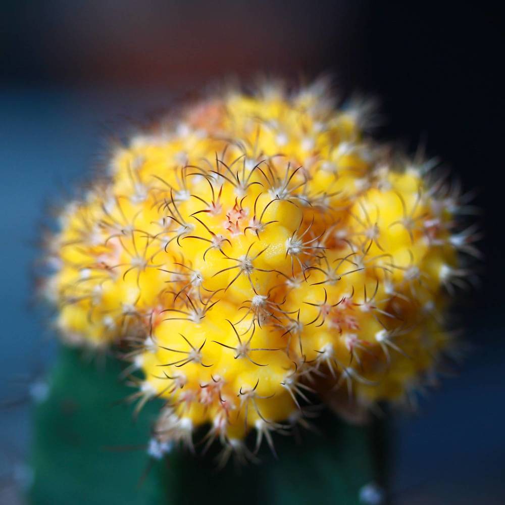 Photograph by Гагик Саркисян