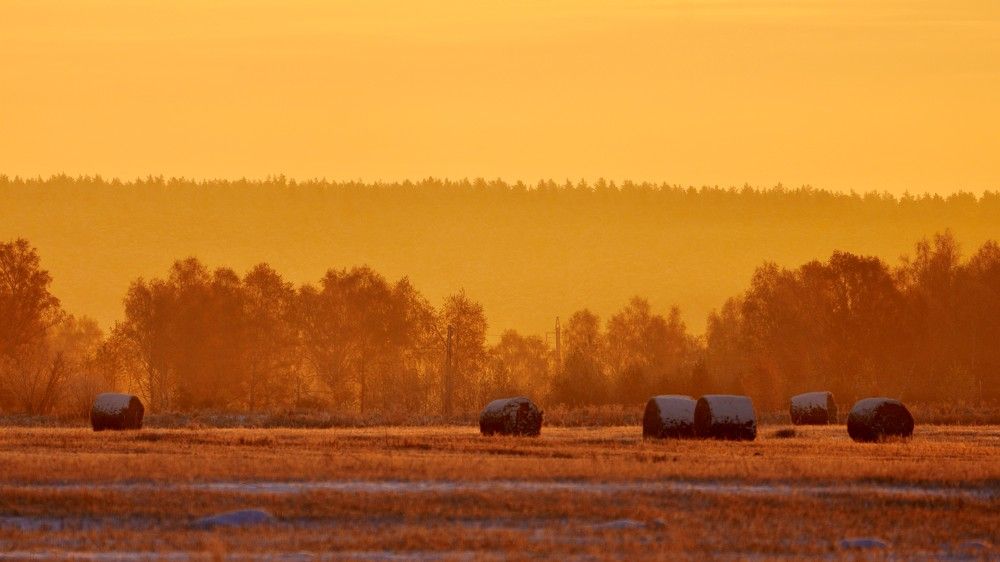 Photograph by Кузнецов Андрей