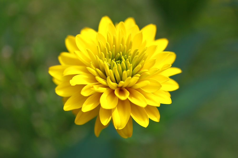 Photograph by Гагик Саркисян