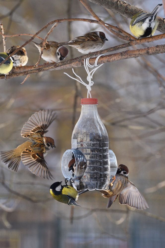 Photograph by Михаил Егоров