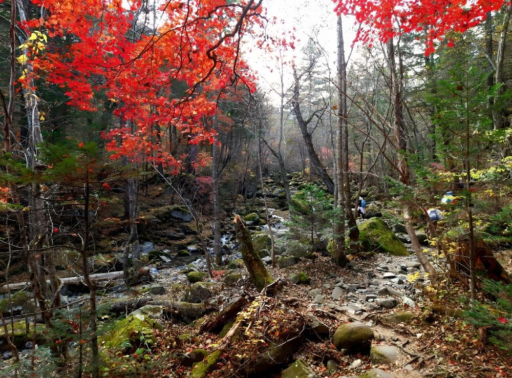 На пути к Пидану.