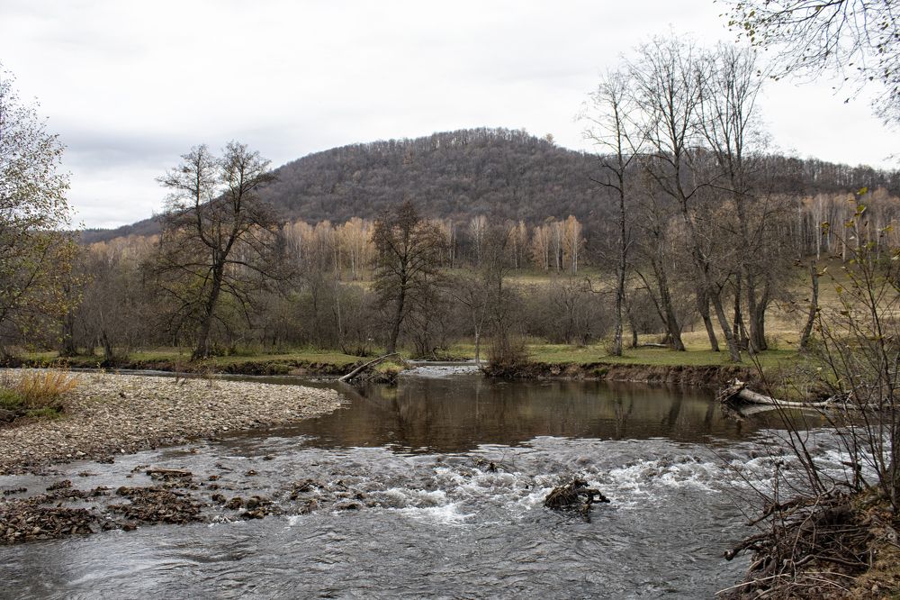 Фотография автора Веста Ягужинская