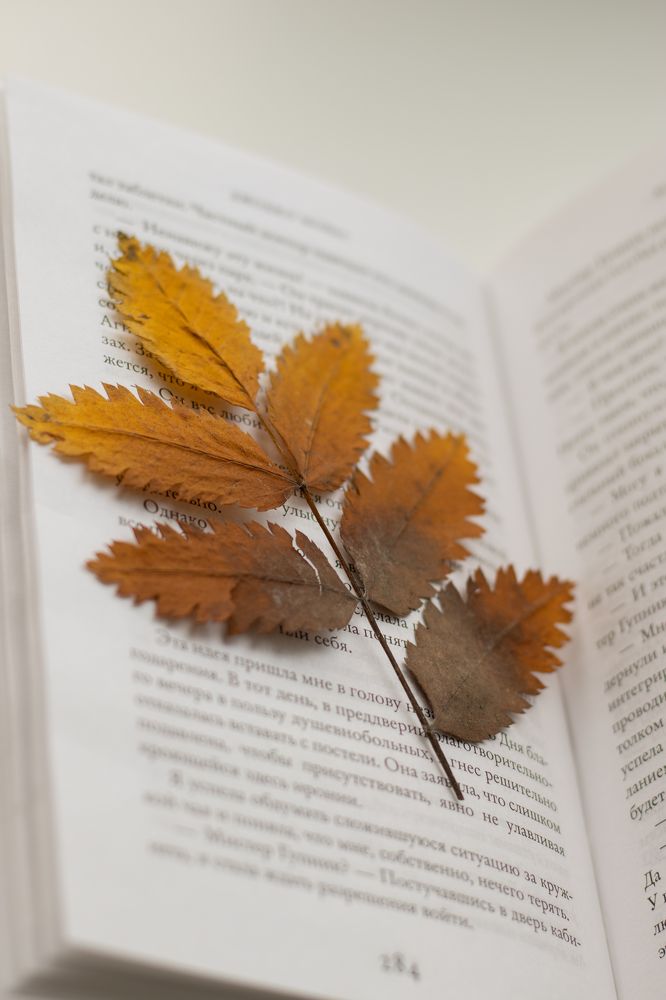 Photograph by Наталья Мотрий