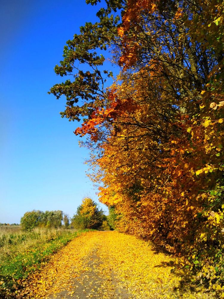 Photograph by Любовь Коровацкая