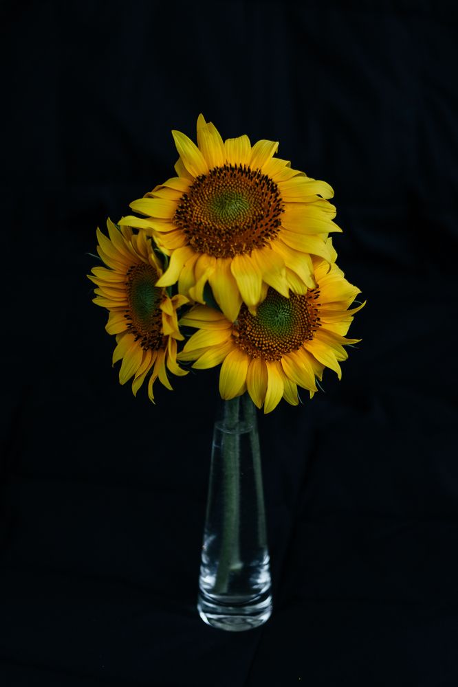 Photograph by Ольга Осинина