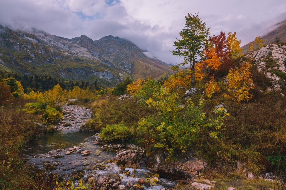 Photograph by Шишкалов Константин