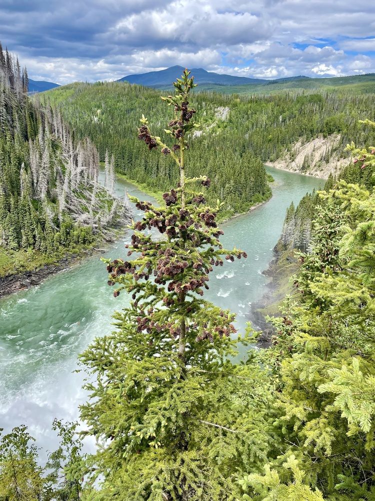 Photograph by Rustam Sadykov