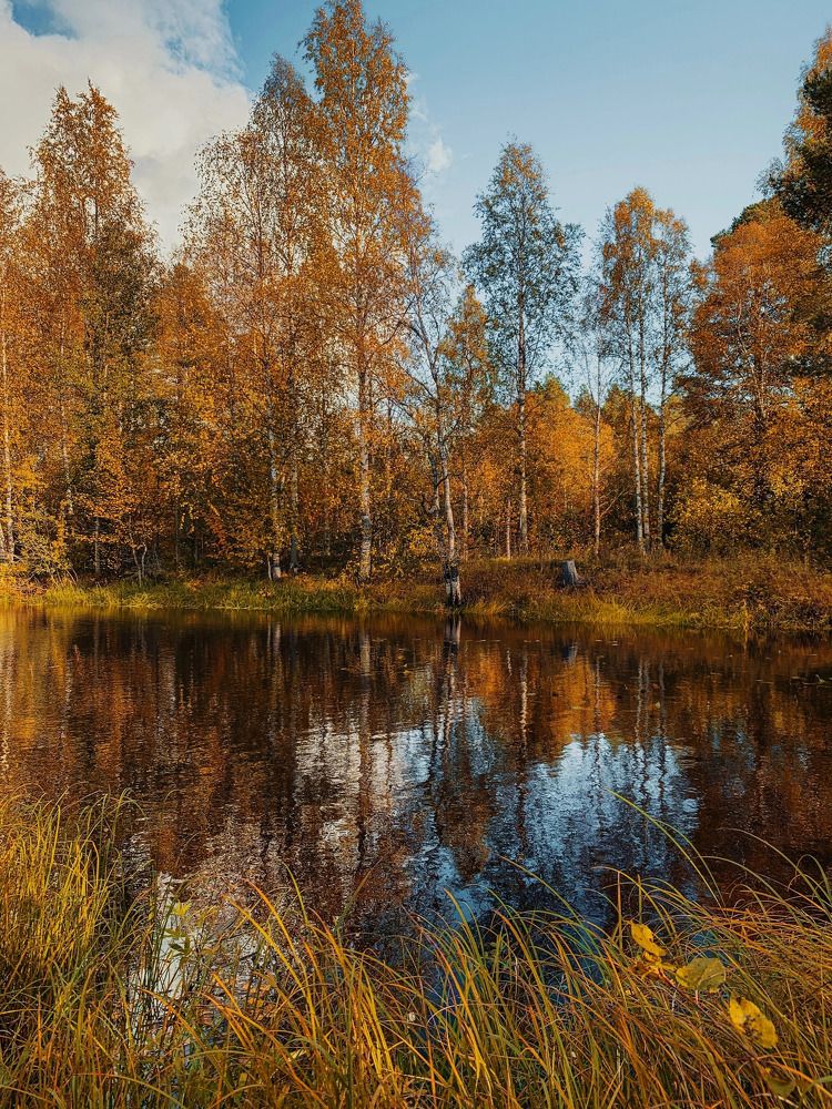 Photograph by Мария Василенко