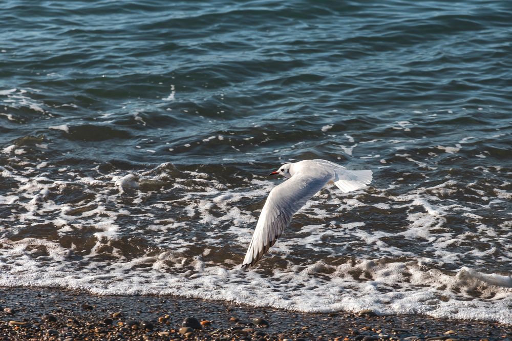 Photograph by Виталий Шкадинов