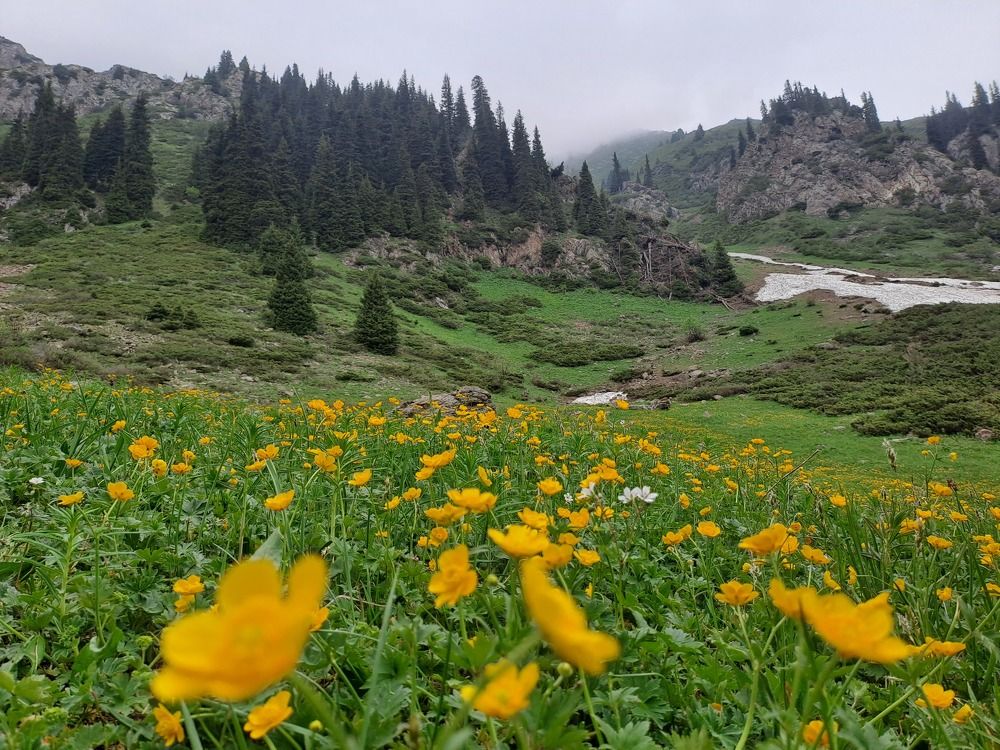 Photograph by Алексей Зиновьев