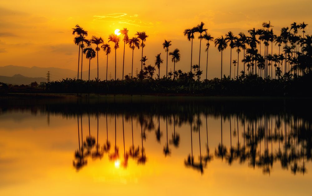 Photograph by Tran Khoa