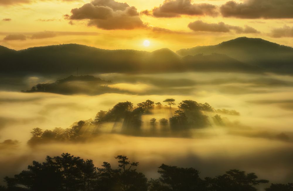 Photograph by Tran Khoa