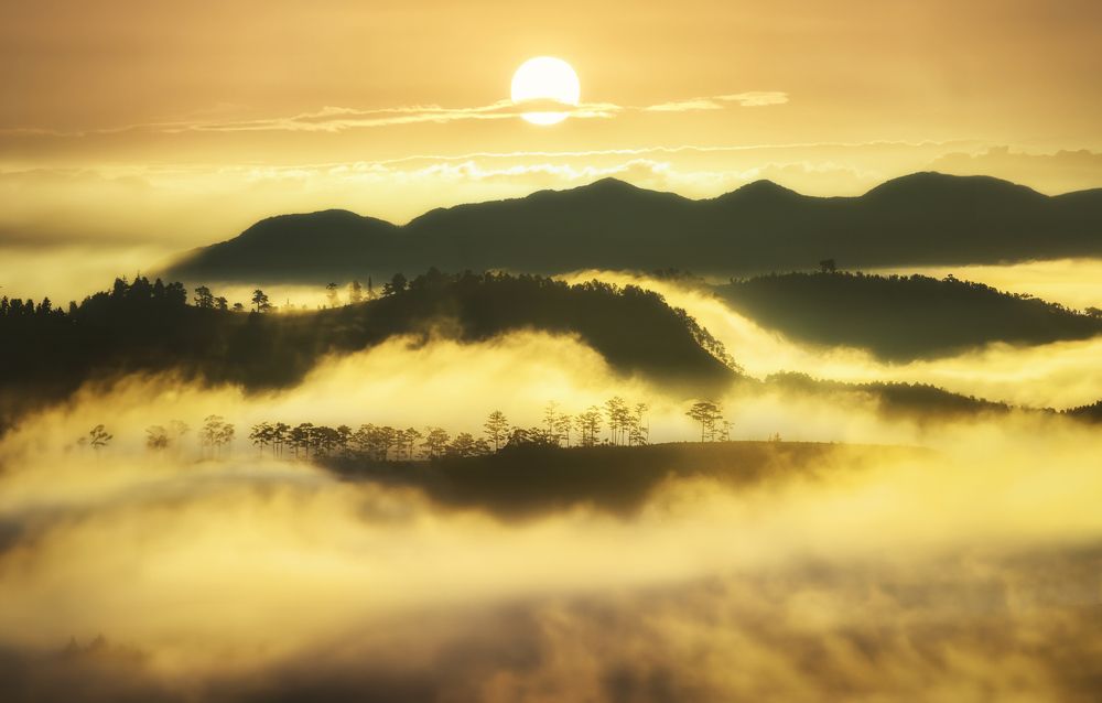 Photograph by Tran Khoa