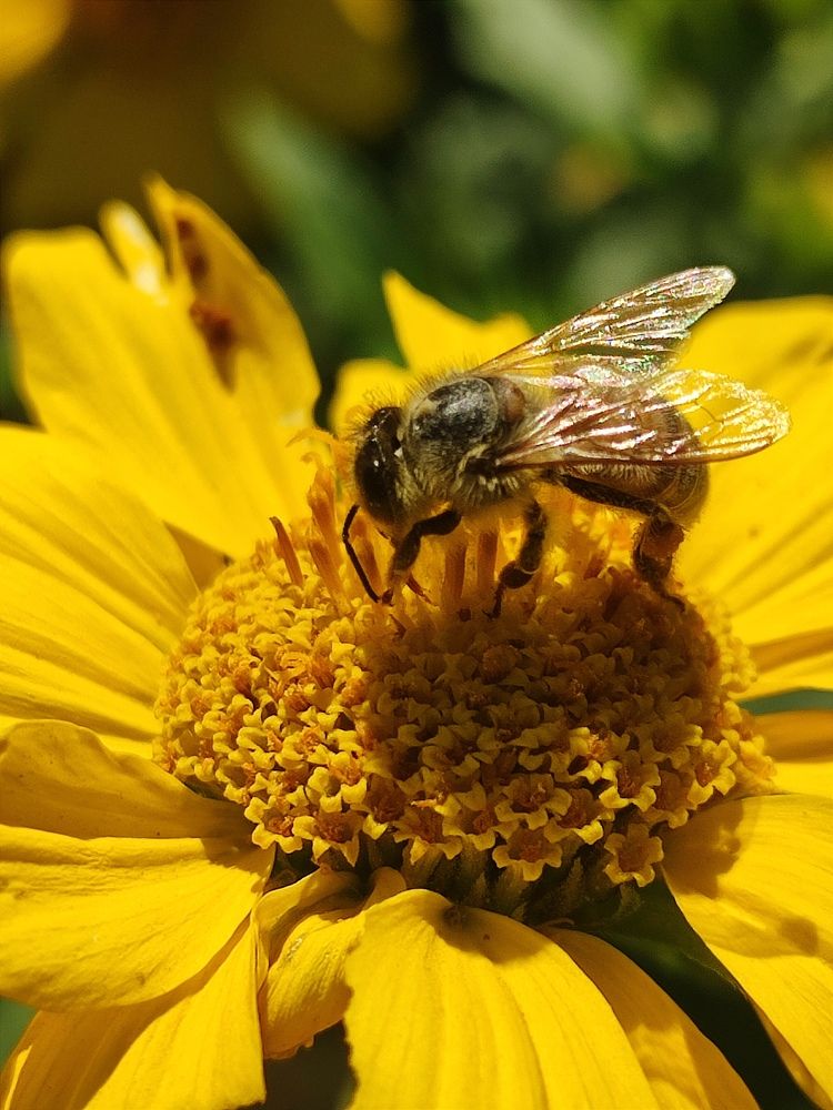 Фотография автора Таня Долгушева