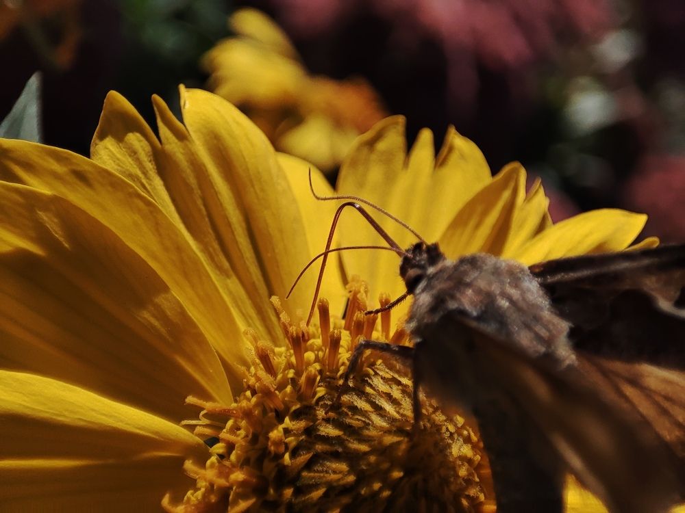 Фотография автора Таня Долгушева