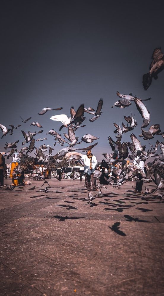 Photograph by Rami Adel