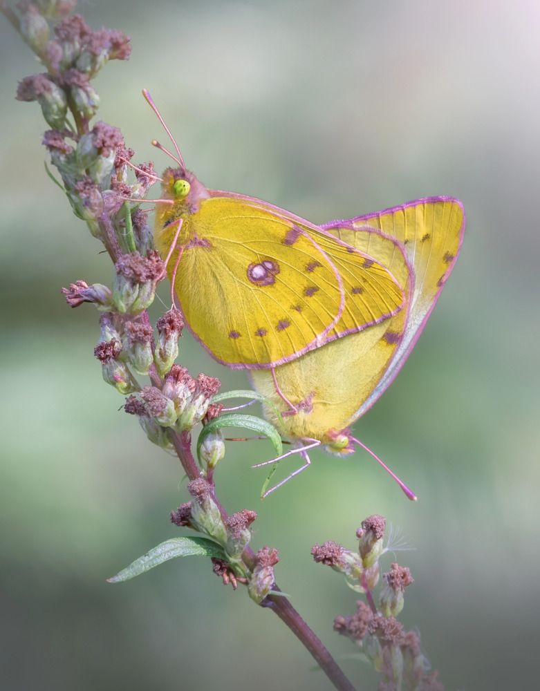 Photograph by Дарья