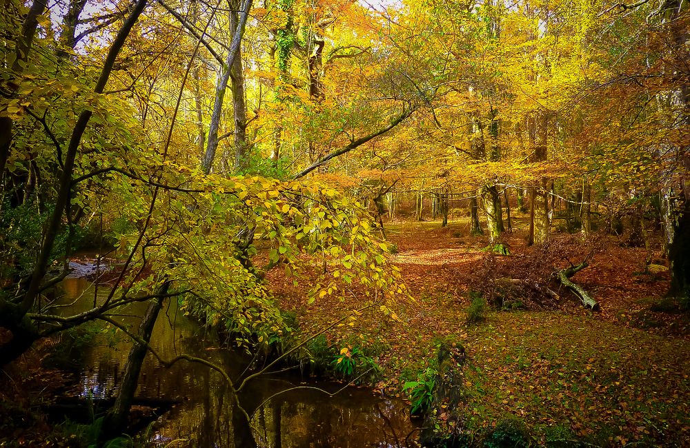 Photograph by Василика Кондратьева