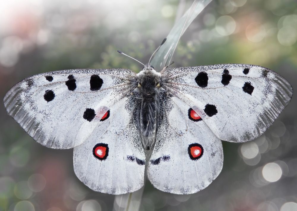 Photograph by Дарья