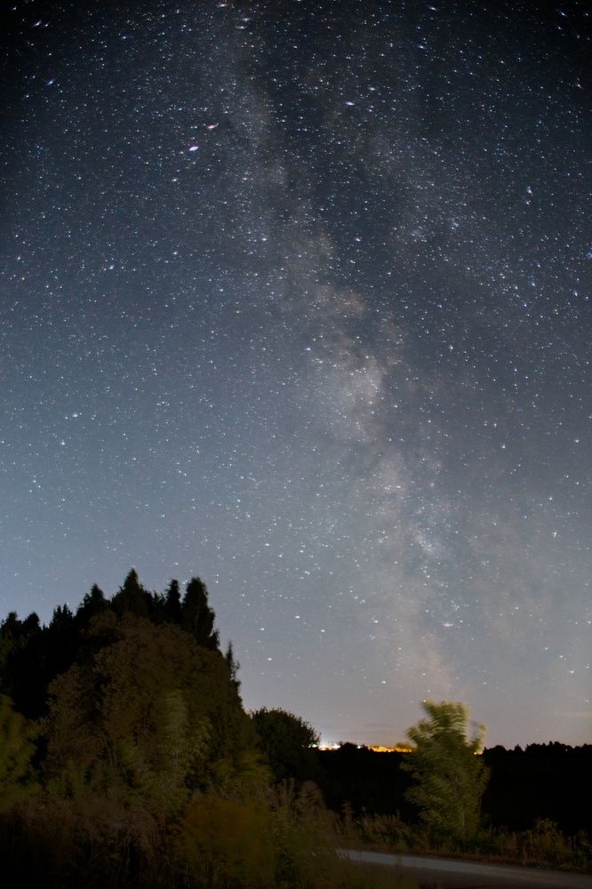 Photograph by Фомочкин Алексей