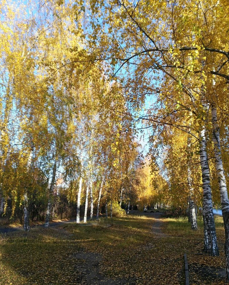 Фотография автора Наталья Сероглазова