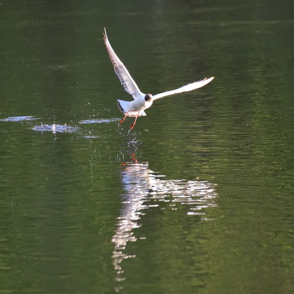 Photograph by Михаил Егоров