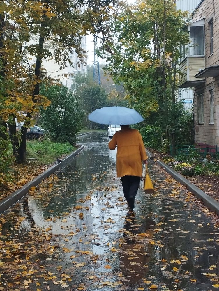 Photograph by Ольга Антохина