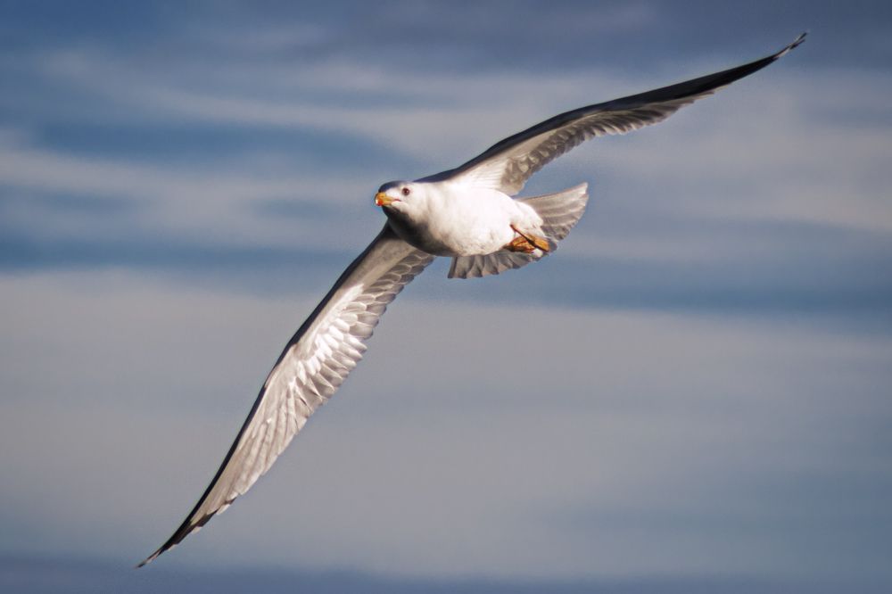 Photograph by Mirela Tortumanova