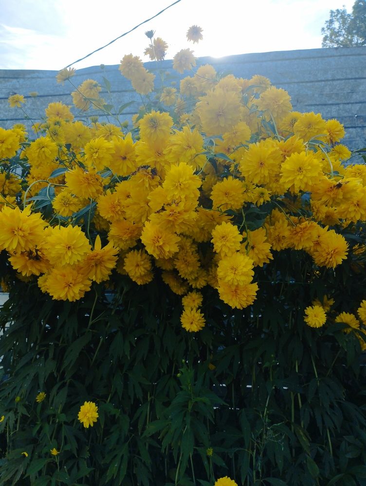 Photograph by Ольга Антохина