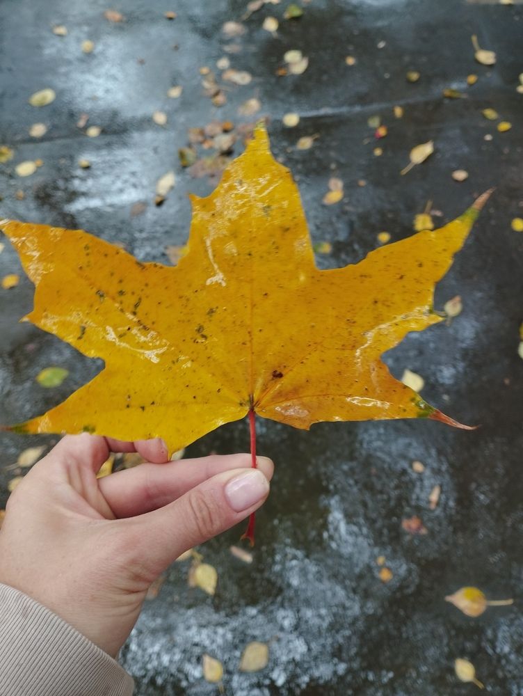 Photograph by Ольга Антохина