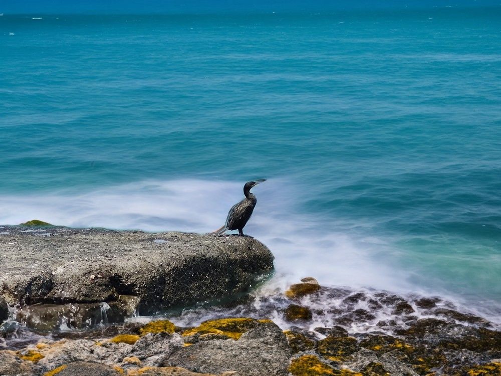 Photograph by Mirela Tortumanova