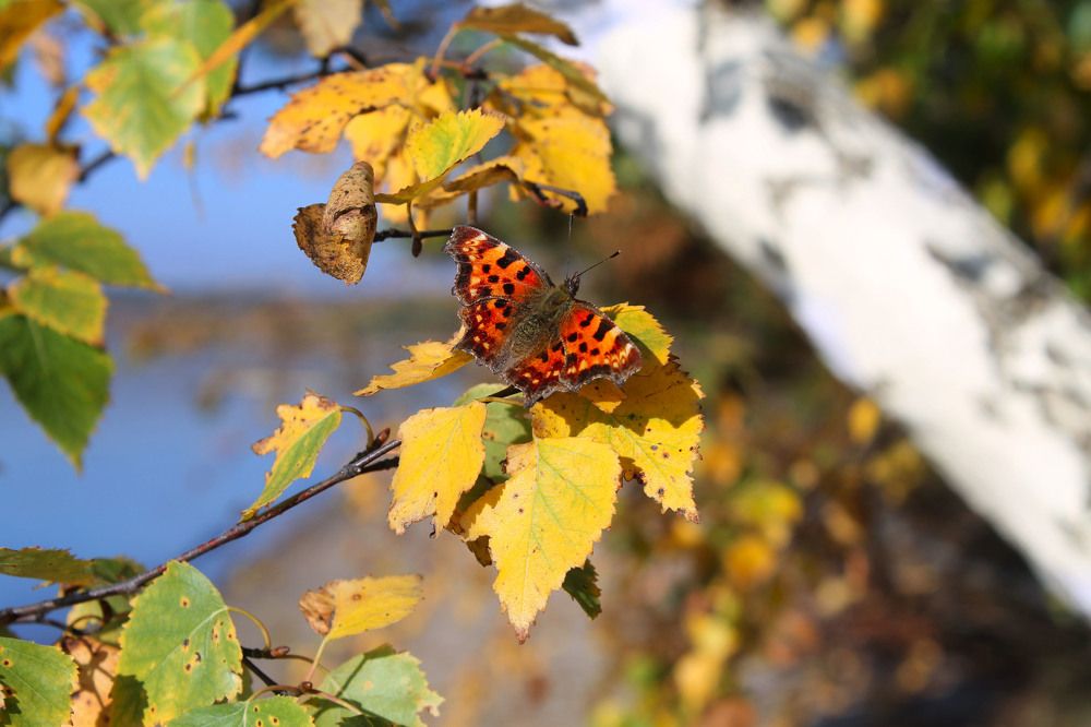 Photograph by Татьяна Ярмак