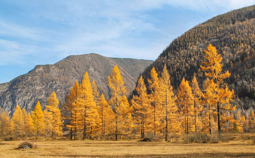 Photograph by Татьяна Ярмак