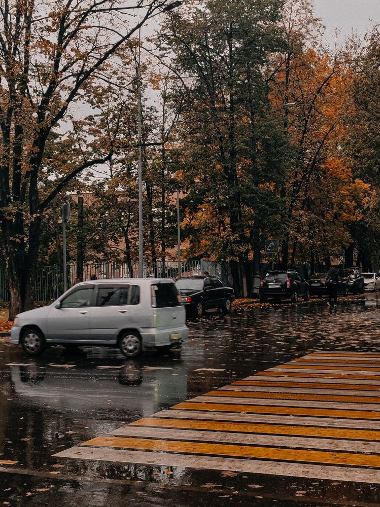 Photograph by Анастасия Лотова