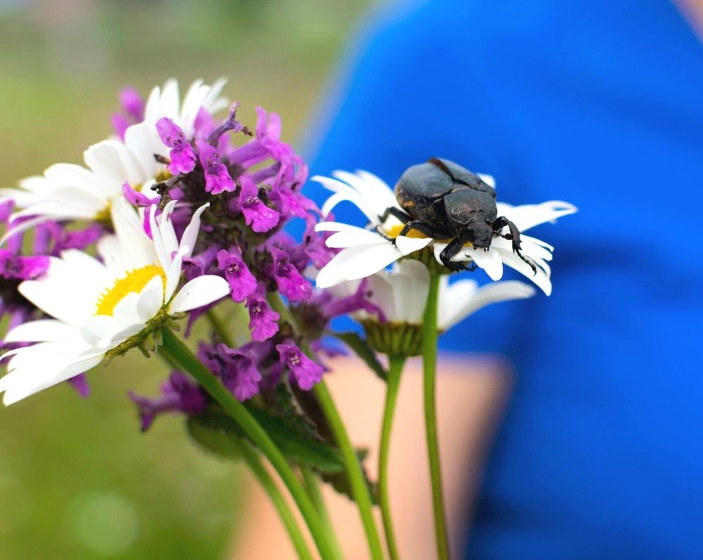 Photograph by Назмутдинова Сауия