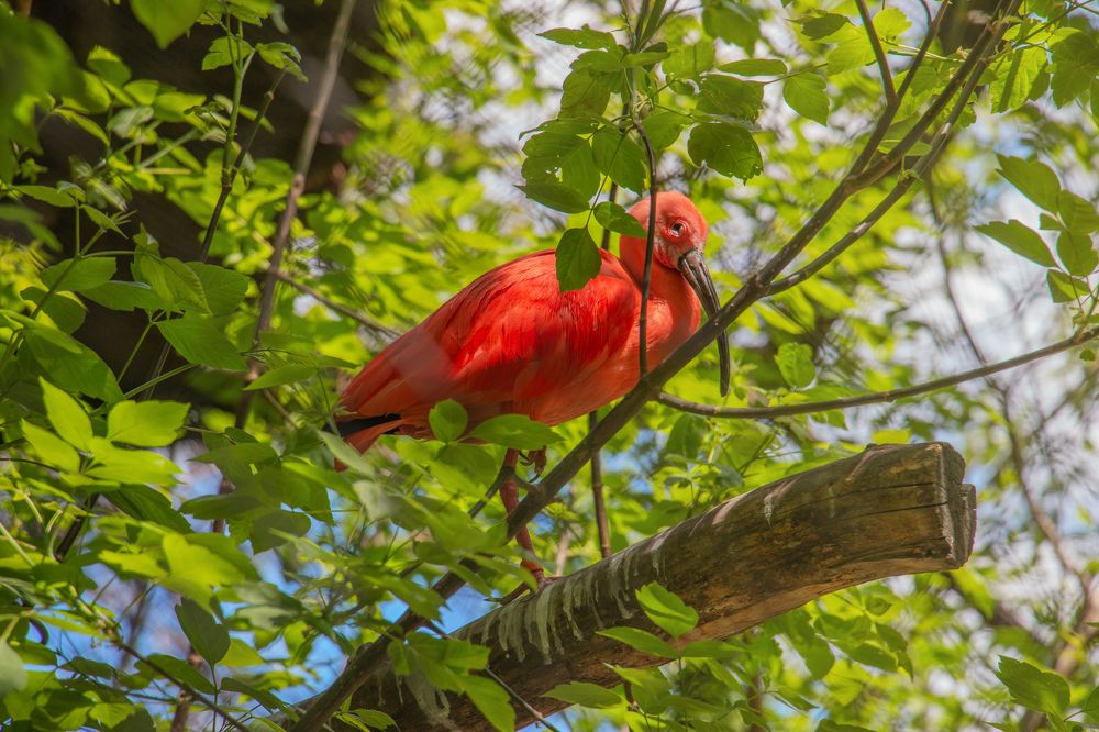 Photograph by Татьяна Ярмак