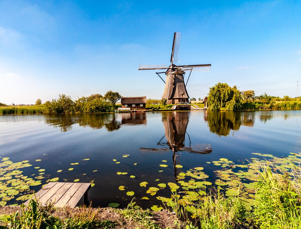 Фотография автора Людмила Прокофьева