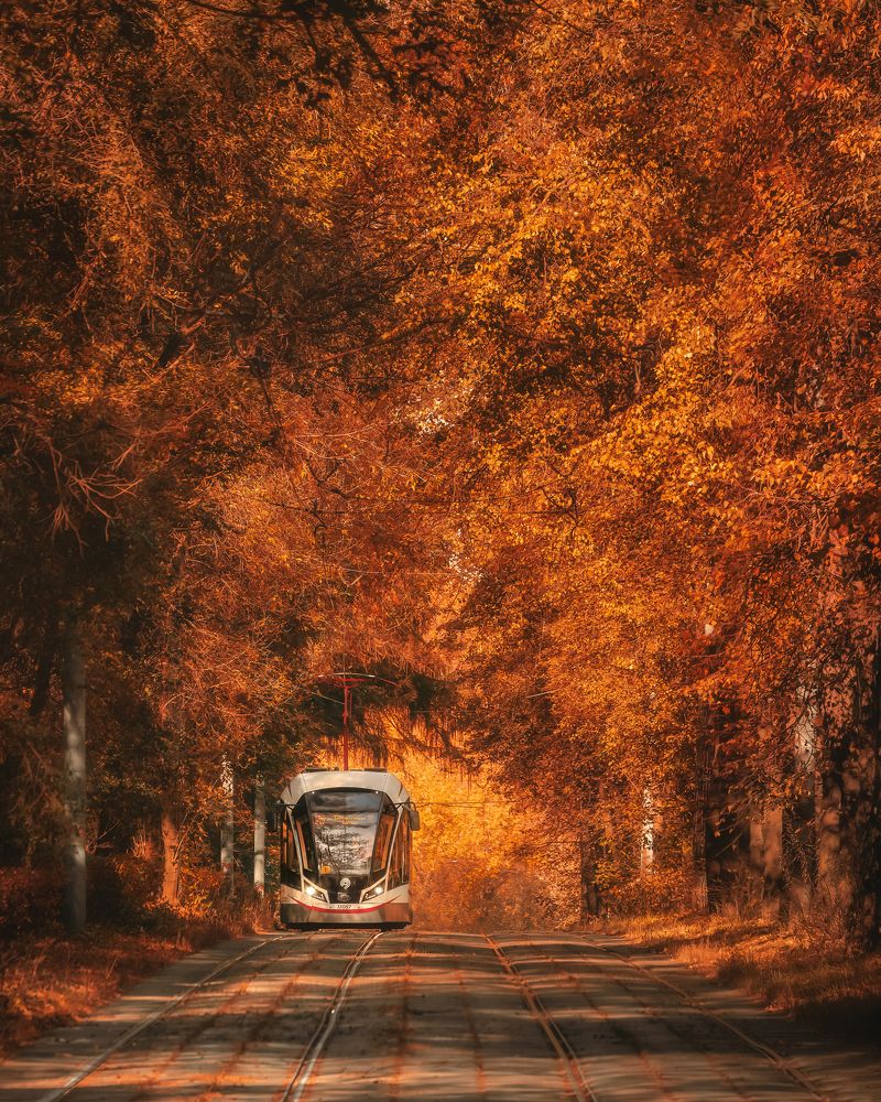 Фотография автора Анастасия Мазурева