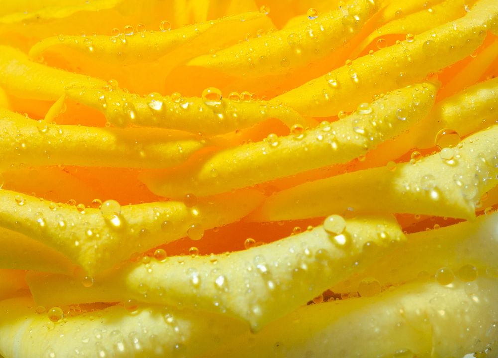 Фотография автора Людмила Прокофьева