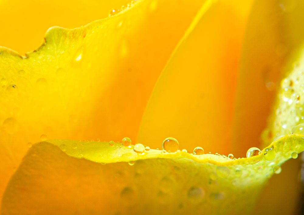 Photograph by Людмила Прокофьева