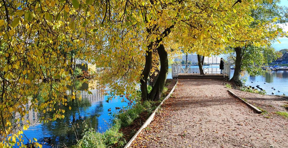 Photograph by Елена Юдина