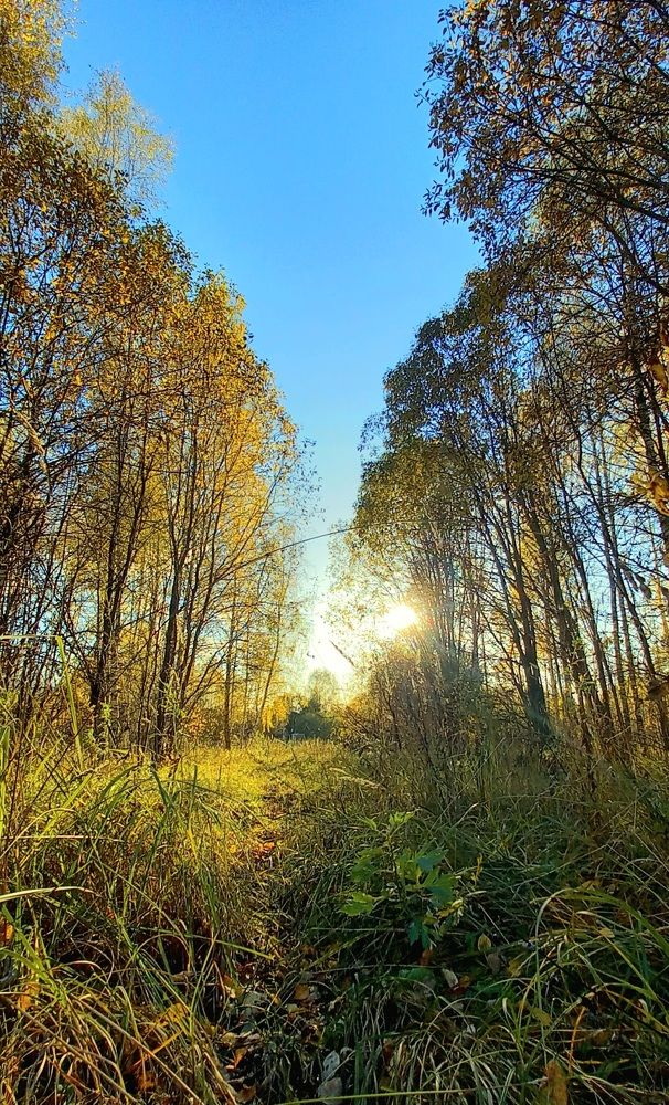 Photograph by Надежда Васильева