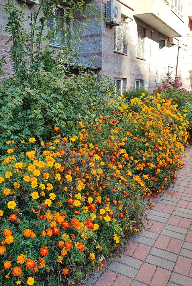 Photograph by Елена Юдина