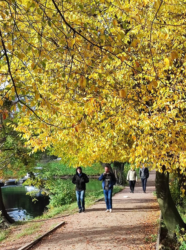 Photograph by Елена Юдина