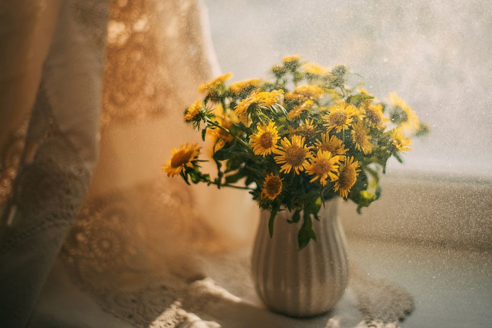 Photograph by Вика Фолина