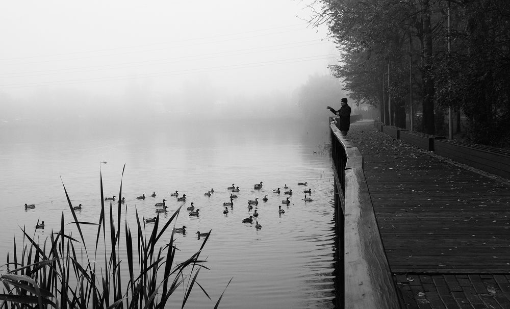 Photograph by Алексей Назаров