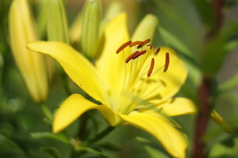 Photograph by Елена